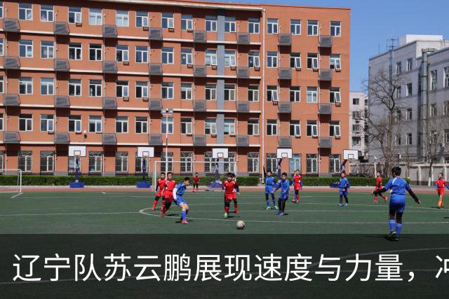 辽宁队苏云鹏展现速度与力量，冲击篮下引关注